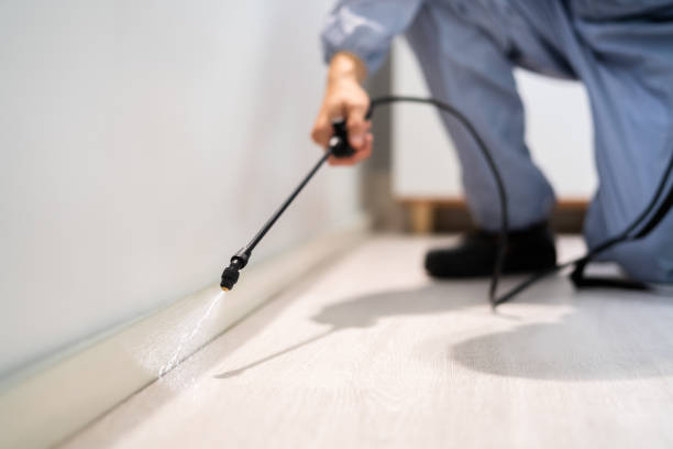 Licensed Termite Control service in Eastlake, OH - Nex Pest Control