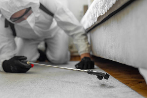 Professional Termite Control technician working in Eastlake, OH