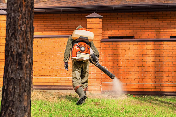 Trusted Ant Control service in Eastlake, OH - Nex Pest Control